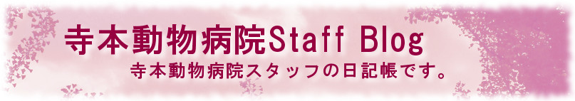 寺本動物病院Staff Blog