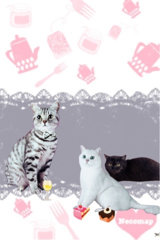 可愛いねこのiphone棚壁紙 猫好き専用 可愛いねこのiphone棚壁紙 Naver まとめ