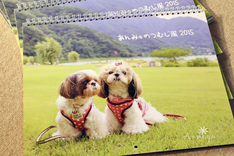 2015年あんみゅカレンダー