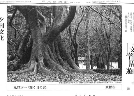 日本経済新聞 2013.1.5 夕刊 p.10