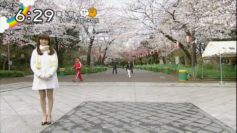 20130323233117.jpg