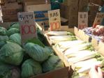 野菜は100円均一。キャベツ1ヶ　大根1本