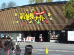 武蔵丘陵森林公園のイベント「紅葉見ナイト」