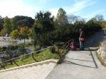 武蔵丘陵森林公園中央口の噴水の近くで見つけたカマキリを観察しているところ