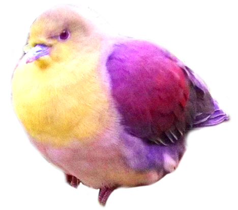 green-pigeon_s.png