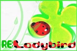 re_Ladybird.jpg