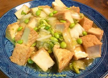 fried Chinese cabbage & agedofu