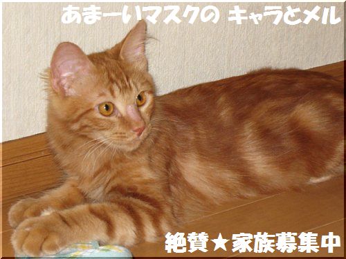 2013091906.jpg