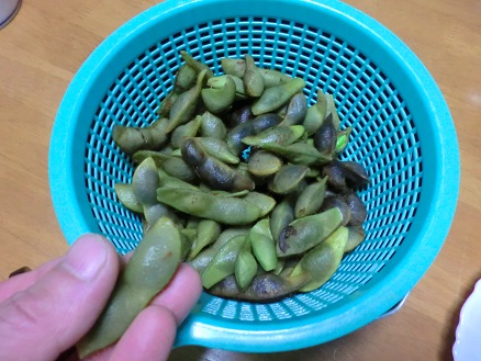 枝豆 (5)