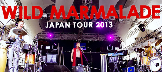 WM_TOUR2013.jpg