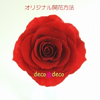 deco＊deco オリジナル開花方法