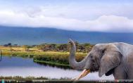 5_Ngorongoro craterf68