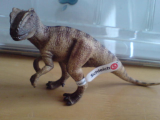 ショライヒのアロサウルス