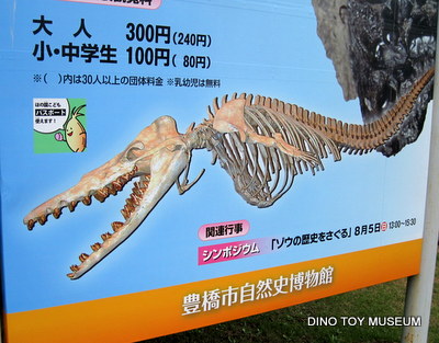 でっかい動物化石