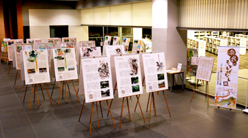 企画展示 「奈良のむかしばなし」パネル展、展示の様子
