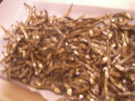 SANY0218.jpg