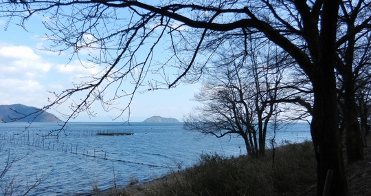 琵琶湖も湖岸の桜も、春まだ遠しの感じでした