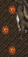 2013年10月4日005429かぼちゃ