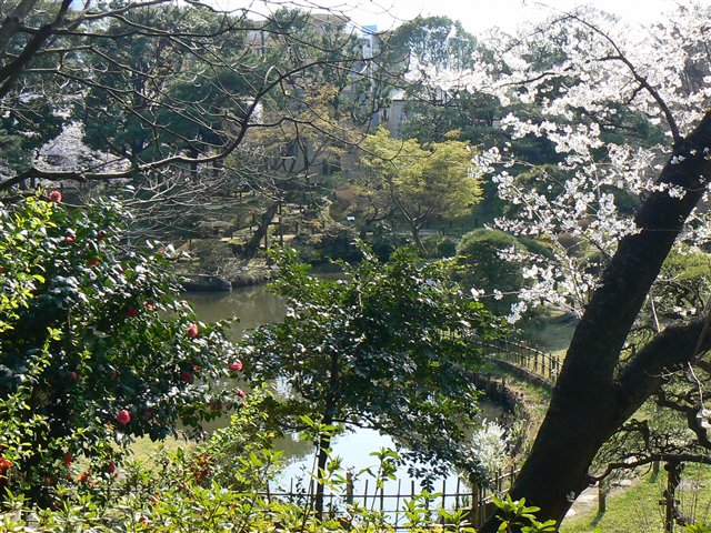 新江戸川公園２