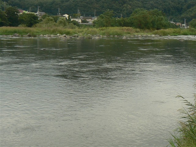 渡良瀬川２