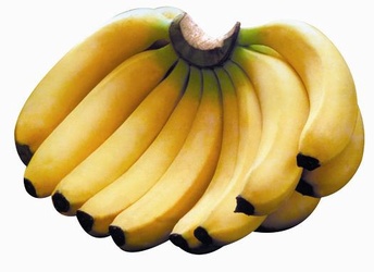 bananad16958.jpg
