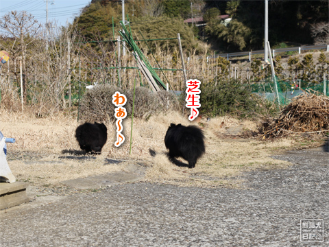 20130216_真熊と志熊7