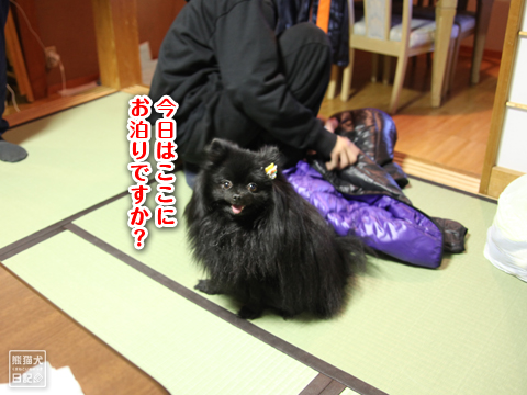 20130505_コテージへ9