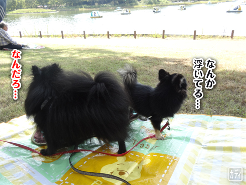 20131014_昭和記念公園8