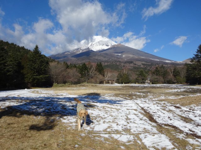 富士山２０１４．１２．９ 021