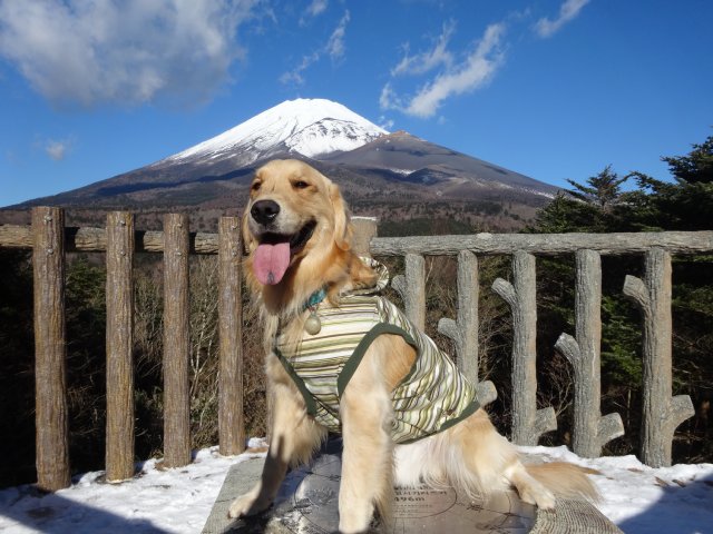 富士山２０１４．１２．９ 010