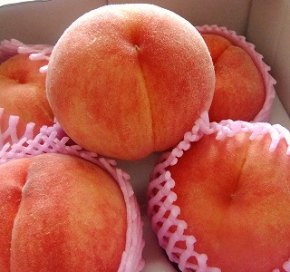 内子の桃で「桃のシャルロットケーキ」
