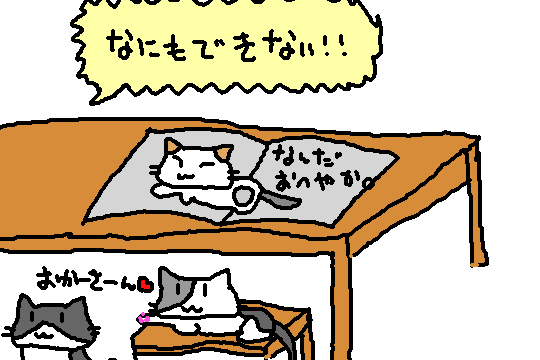 かけひろりん母好き１１