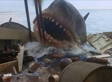 Jaws_07