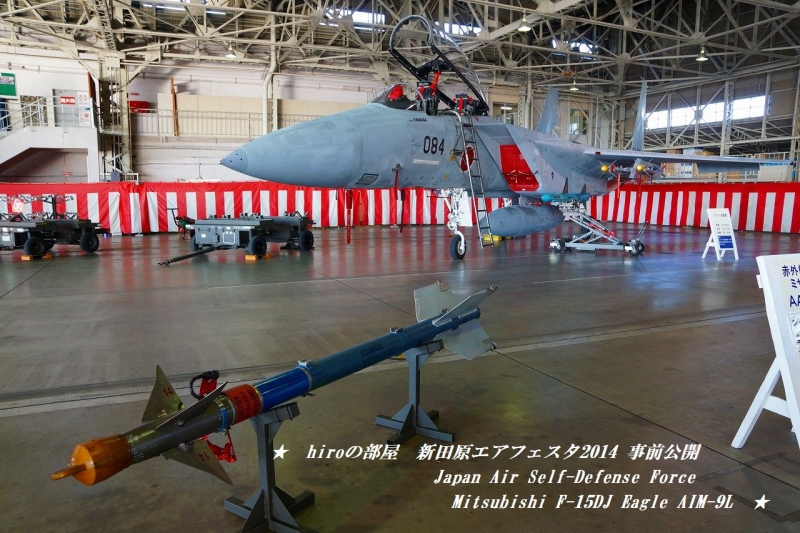 hiroの部屋　Japan Air Self-Defense Force Mitsubishi F-15DJ Eagle 32-8084 AIM-9L