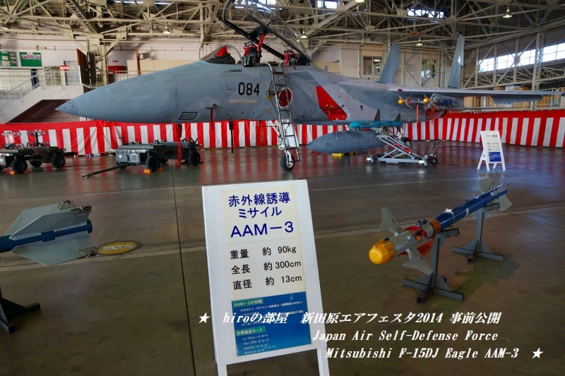 hiroの部屋　Japan Air Self-Defense Force Mitsubishi F-15DJ Eagle 32-8084 AAM-3