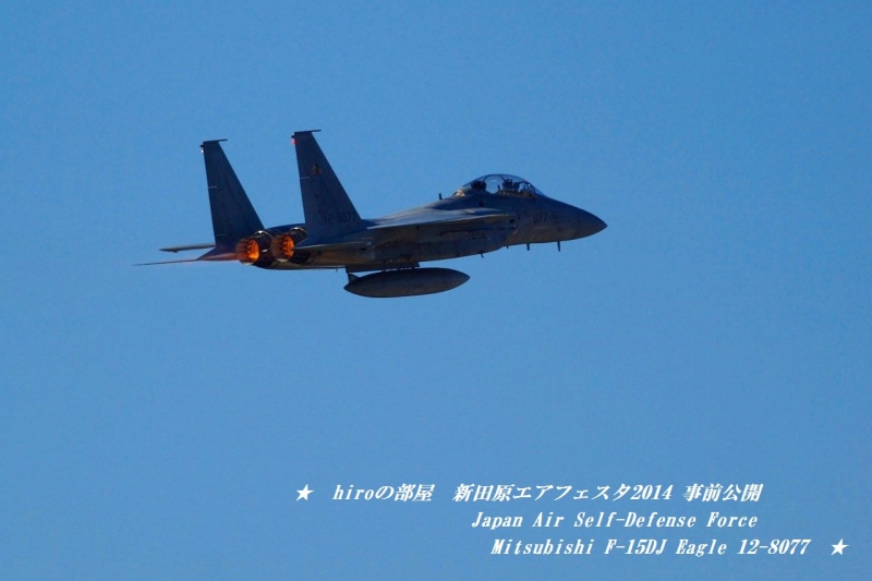 hiroの部屋　Japan Air Self-Defense Force Mitsubishi F-15DJ Eagle 12-8077