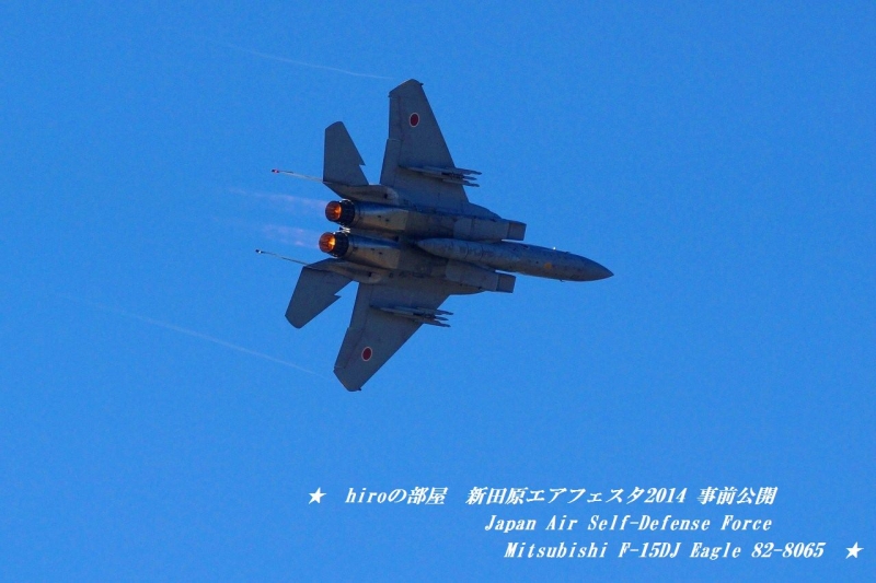 hiroの部屋　hiroの部屋　Japan Air Self-Defense Force Mitsubishi F-15DJ Eagle 82-8065