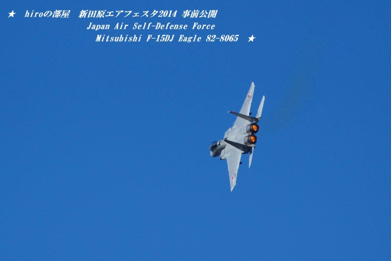 hiroの部屋　hiroの部屋　Japan Air Self-Defense Force Mitsubishi F-15DJ Eagle 82-8065