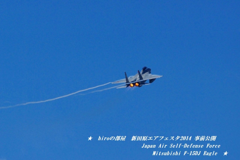 hiroの部屋　Japan Air Self-Defense Force Mitsubishi F-15DJ Eagle