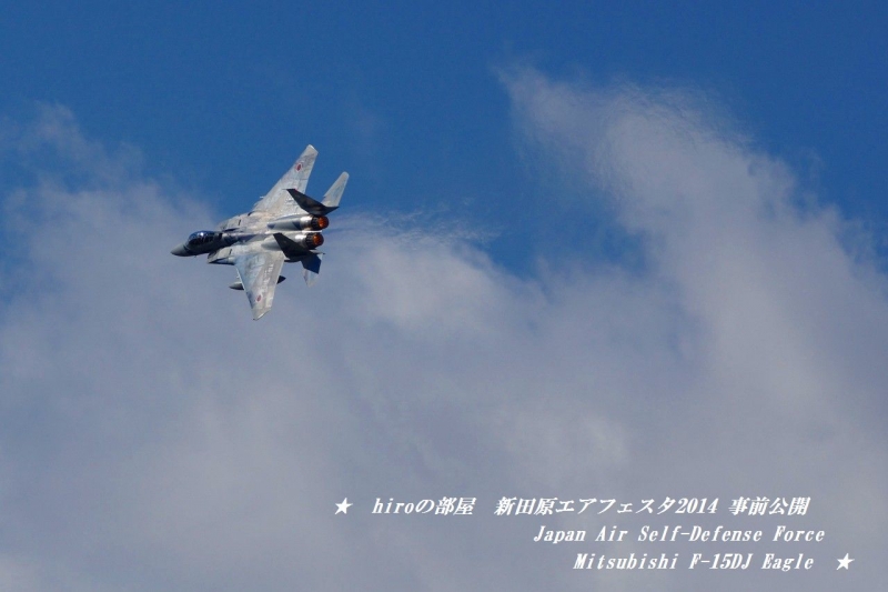 hiroの部屋　Japan Air Self-Defense Force Mitsubishi F-15DJ Eagle