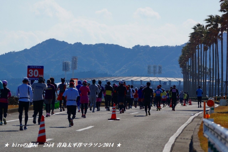 hiroの部屋　第28回 青島太平洋マラソン2014