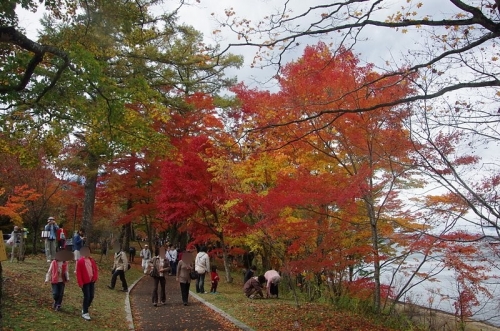 山中湖の紅葉はちょうど見ごろ～♪06