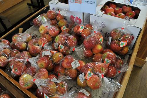 early maturing variety apples, reagional farmers shop gonohe, gonohe town, 240909 2-1-s
