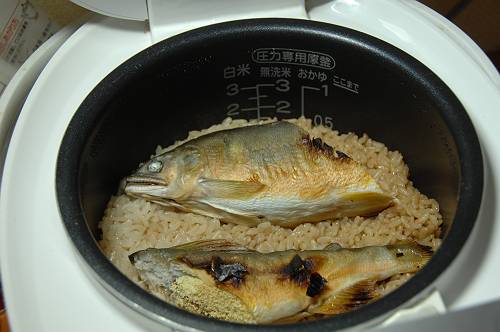 rice with Assorted Ingredients of sweetfish,  241008 3-1-p-s