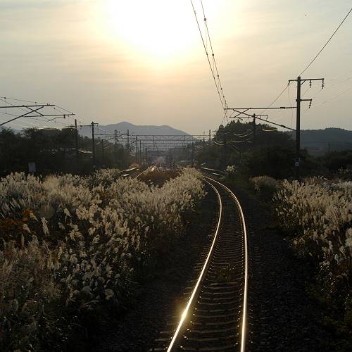 dusk approaching in autum, aoimori railway, 241015-11, 1-7-p-s