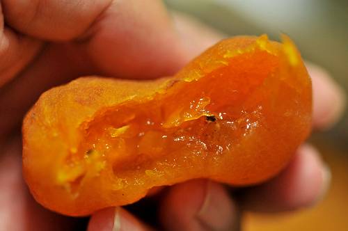 dried persimmon of ampo kaki in fukushima, 260111 2-14_s