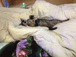 20130406170024.jpg