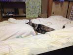 20130427130007.jpg