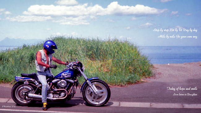 Harley Notsuke-hantou 1996-30-1 hd-2-2