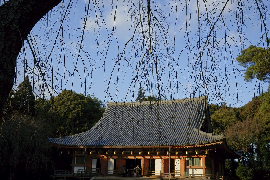 醍醐寺2